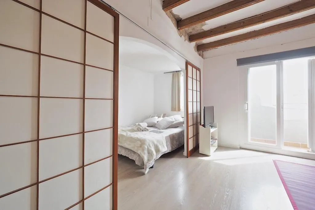 Radas Apartment Barcelona 0*,  Spain